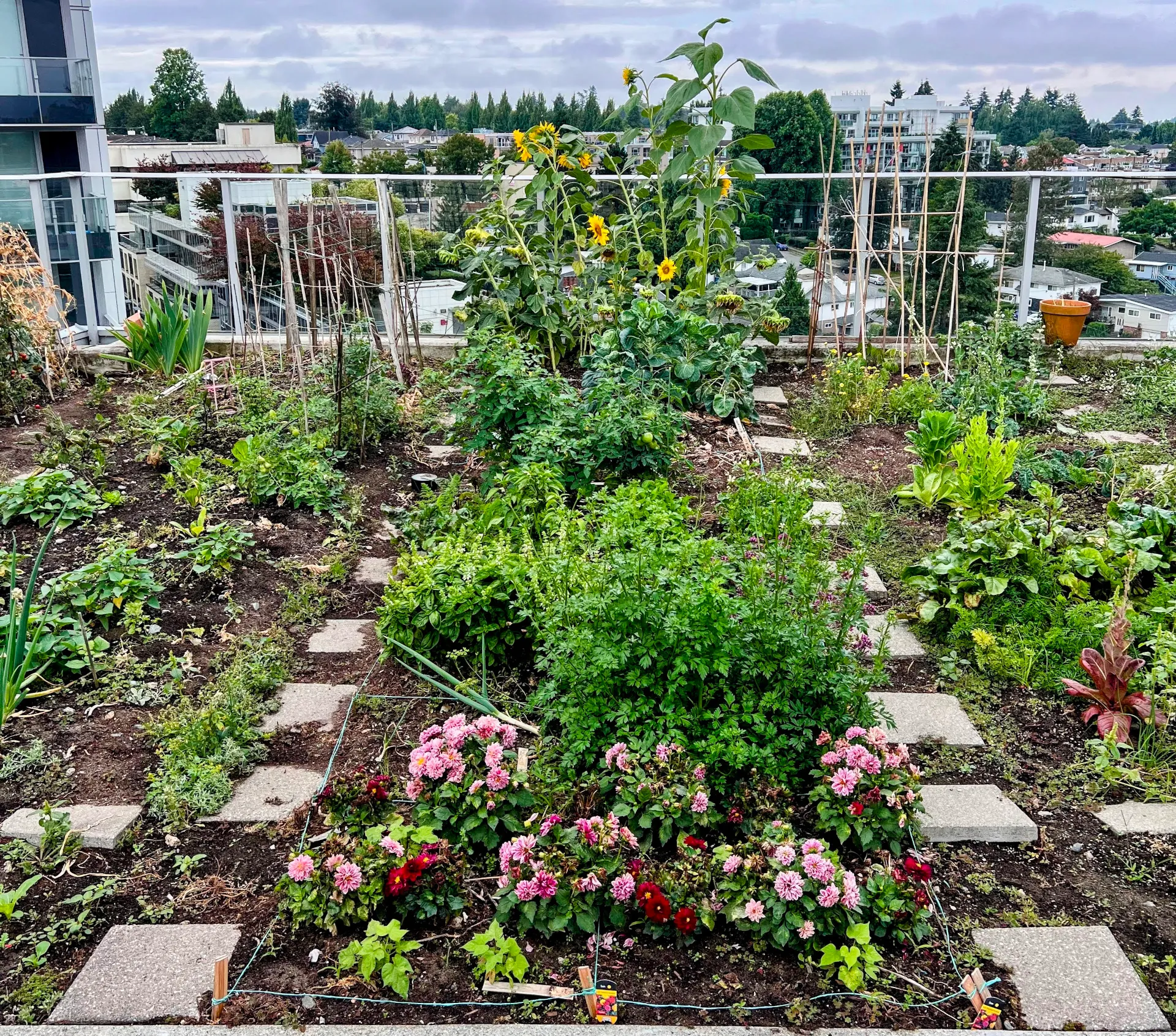 Garden on harvest time