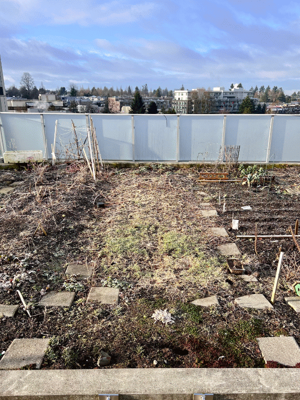 Garden timelapse from first planting to last harvesting